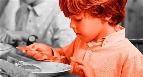 семейный ужин и придирчивый едок