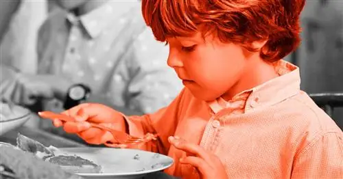 Я перестал бороться со своим придирчивым едоком, и семейный ужин стал намного лучше