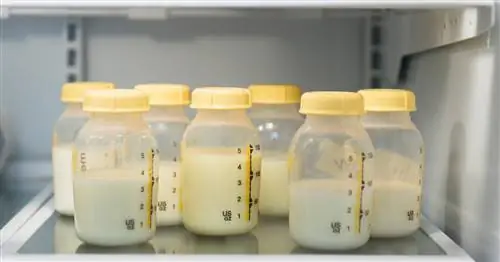 Почему грудное молоко - худшая идея для нового суперпродукта