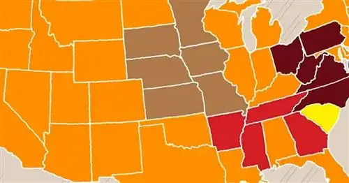 На этой карте показаны самые популярные стили барбекю в каждом штате. Есть спорный победитель