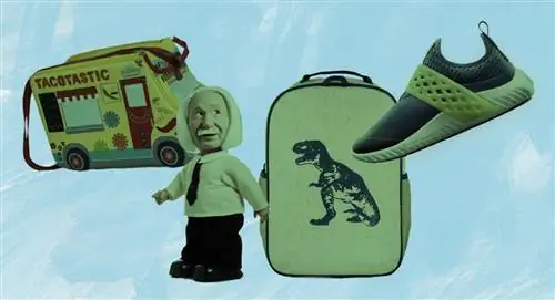 обратно в школу