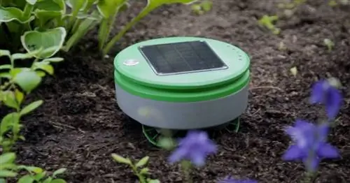 Tertill - робот в стиле Roomba, который вырывает сорняки для вас