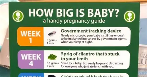 Мужчина оставил весёлую диаграмму роста ребёнка в программе Babies ‘R’ Us