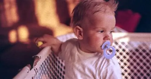 6 мифов о том, как работают пустышки, которые родители должны игнорировать