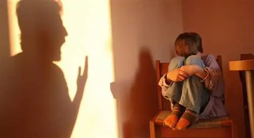 Тень отца, кричащего на своего испуганного ребенка.