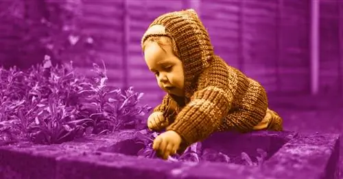 День Земли. Вот что вы можете сделать, чтобы отпраздновать со своими детьми