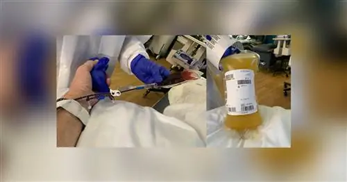 Посмотрите на этот гигантский пакет плазмы, который Том Хэнкс пожертвовал на борьбу с COVID-19