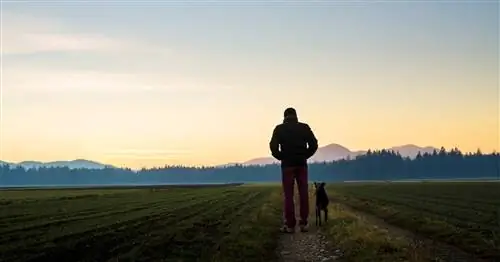 Утренняя рутина, которая делает меня лучше и продуктивнее