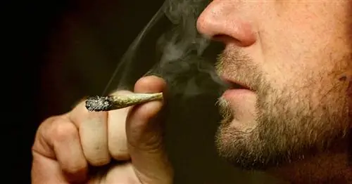 Родители, которые курят травку, чтобы играть лучше