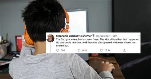 Хаос 2-го класса Zoom раскрыт в веселой вирусной ветке Twitter