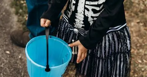 Почему Хэллоуин всегда должен быть последней субботой октября