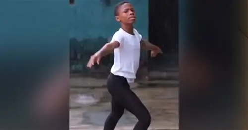 Вирусное видео балета Young Boy принесло ему танцевальную стипендию