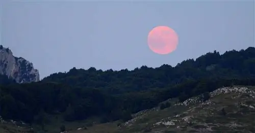 Самое крутое небо в апреле: метеоритные дожди, розовые луны