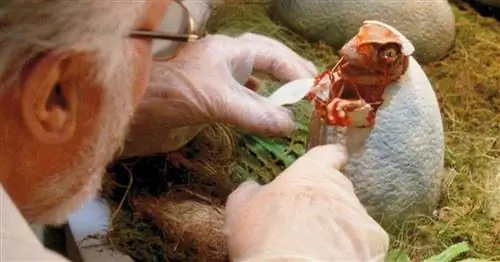 Парк Юрского периода реален!? Эмбрион динозавра был найден внутри ископаемого яйца