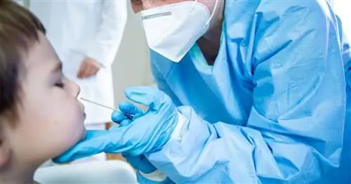 «Пройди тест и останься»: что родителям нужно знать о новой школьной политике CDC