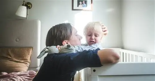 Как дисциплинировать малыша: что говорят новые исследования