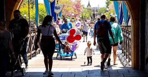 Этот иск Disney на 5 миллионов долларов может заставить вас дважды подумать о получении пропуска Dream Key