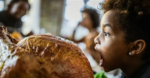 60 забавных шуток и каламбуров про индейку для детей