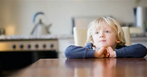 Как научить малышей, дошкольников и детсадовцев ждать