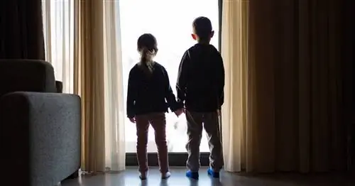 Брат, сестра, соперник, друг: долгосрочные последствия родственных отношений