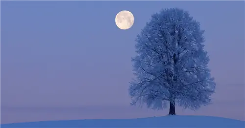 Приближается февральская снежная луна (также известная как Костяная луна)