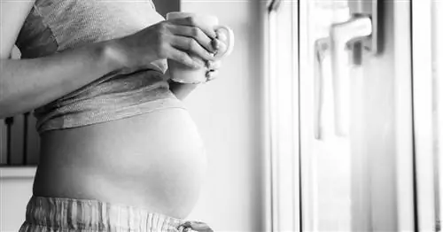 Все, что вам нужно знать о суррогатном материнстве