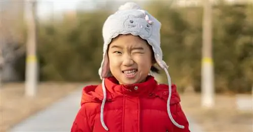 75+ головоломок для взрослых и детей