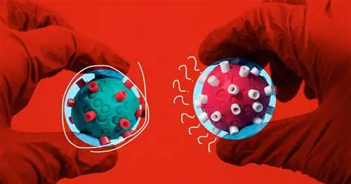 Сколько существует вариантов COVID?