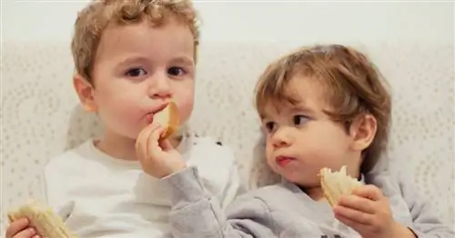 Сострадательные дети рождаются у родителей, которые делают эти 8 вещей