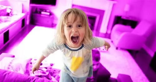 4-летний мальчик прыгает на диване и смеется над первоапрельской шуткой