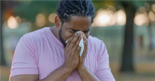 На этой карте показаны худшие (и лучшие) города для сезонной аллергии