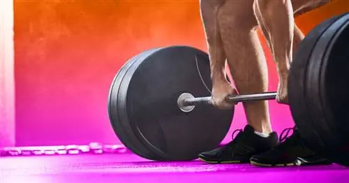 Окончательный план силовых тренировок чемпиона-пауэрлифтера для пап