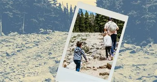 Несравненное страдание и радость от семейных развлечений второго типа