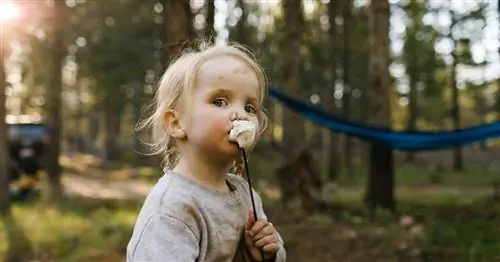 Почему вам не нужно беспокоиться, если ваш ребенок не сдаст зефирный тест