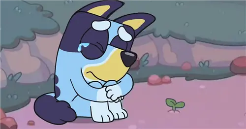 Душераздирающие слухи предполагают, что «Bluey» скоро закончится