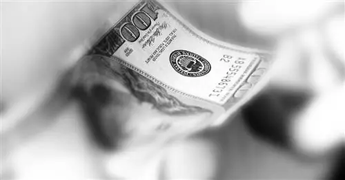 До 850 долларов США в виде стимулирующих чеков могут быть выплачены людям в 11 штатах