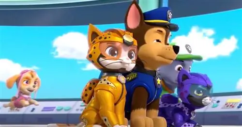 <em>Paw Patrol </em>Drops <em>Cat Pack, </em>Сюрприз, дополнительный фильм о кошках