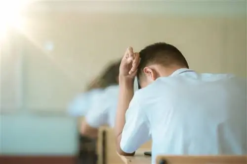 Экзамен или оценка концепции студентов, позади студента в классе, сидящего на стуле, белая форма…