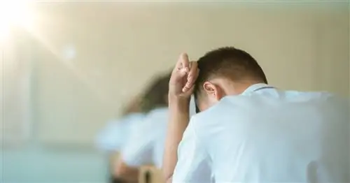 Калифорнийский законопроект даст одной группе молодежи 1 000 долларов в месяц в виде основного дохода - что нужно знать