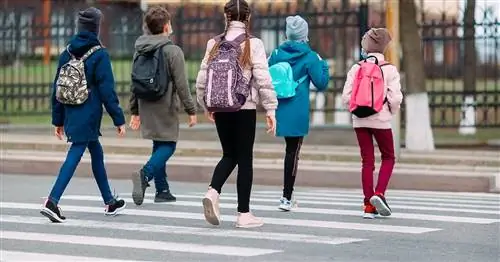 3 Основные выводы из школ с 4-дневной неделей