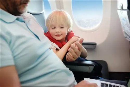 Портрет маленького мальчика с отцом во время путешествия на самолете. Путешествие с детьми. Семья …