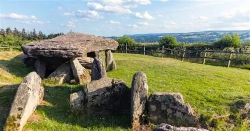 Гробница возрастом 5000 лет раскопана впервые