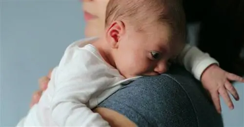 Циркулирует пареховирус, смертельная для младенцев болезнь. Вот что нужно знать