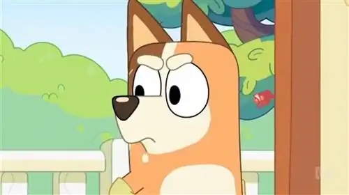 Блуи безумное лицо Чили