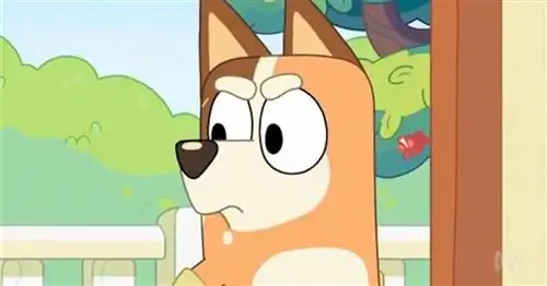 <em>Bluey </em>Эпизод Fart транслируется на Disney+ - но еще один спорный эпизод все еще запрещен