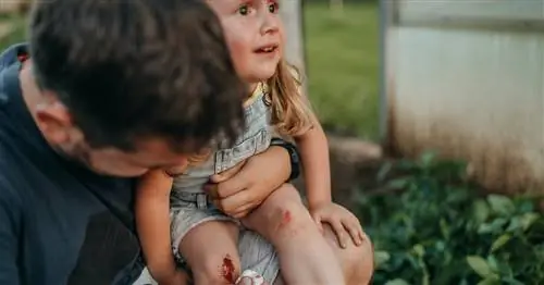 Почему ваш ребенок сходит с ума из-за каждой царапины или падения - и что с этим делать