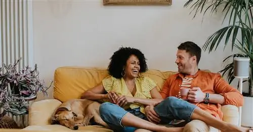 Я интроверт, женатый на экстраверте. Вот как мы заставляем это работать