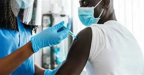 Все, что вам нужно знать о новом усилителе COVID