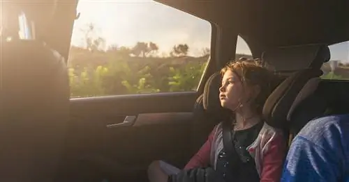 18 способов избавиться от автомобильной болезни, которые действительно работают