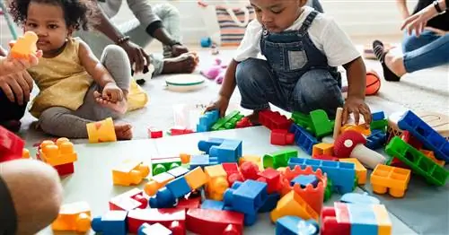 Черт возьми, да! Новые мексиканские избиратели только что сделали уход за детьми конституционным правом